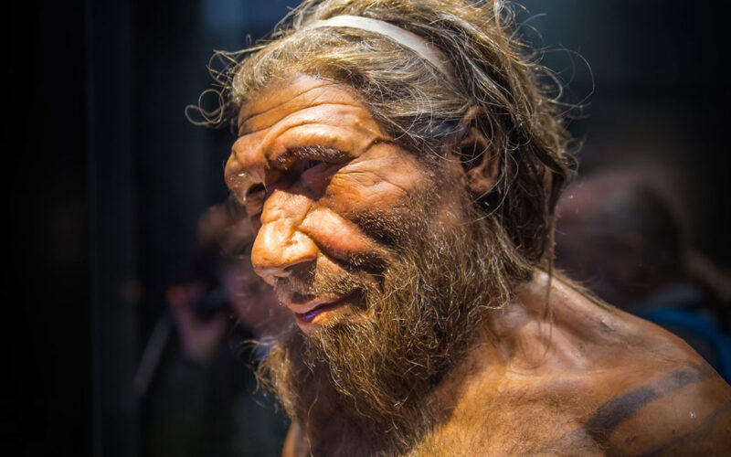 La Traccia Neanderthaliana nel DNA: Chiave del Mistero dell’Epidemia di COVID nella Bergamasca?
